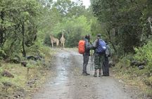 mount meru 4 days hike