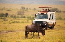 3 days fly in safari