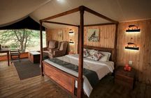 3 days fly in safari