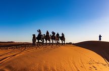 All In DESERT 4X4 SAFARI, Camel Trek with Bedouin dinner 2 days / 1 night