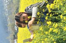 Kashmir - Paradise on Earth (6Days 5 Nights)