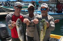 Private Half-Day Sport Fishing in Los Cabos
