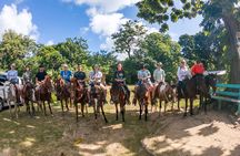Horseback Riding + West End + Choco Factory + West Bay Day Pass @ Paradise Beach