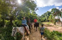 Horseback Riding + West End + Choco Factory + West Bay Day Pass @ Paradise Beach
