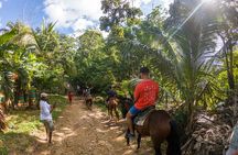 Horseback Riding + West End + Choco Factory + West Bay Day Pass @ Paradise Beach