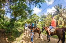 Horseback Riding + West End + Choco Factory + West Bay Day Pass @ Paradise Beach