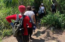 Adventure experience at Peak Sugar Bread by PARATY TOURS