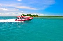 2 1/4 hr Low Isles Reef Sprinter Snorkelling Tour 
