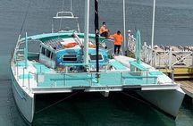 Catamaran Cruise, Open Bar, Food and Snorkeling