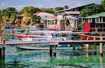 West End Tour (Choco Factory + Rum Company + Art Gallery + Rusty Fish and more)