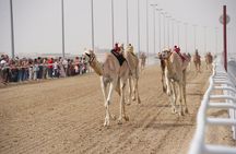 West Coast and Camel Race Track Visit