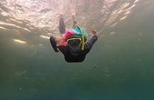 Small Group Manatee Swim Tour With Free Photos