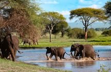  5-Day Group Tour Mid Range
