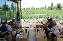 Uco Valley Wine Experience - Private - The Best Wine Tour & Lunch