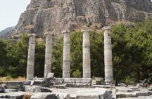 Heart of Aegean: Private Priene - Miletus - Didyma Tour