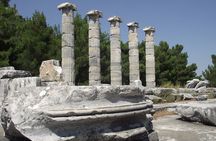 Heart of Aegean: Private Priene - Miletus - Didyma Tour