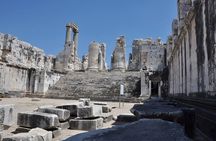 Heart of Aegean: Private Priene - Miletus - Didyma Tour