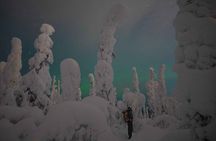 Aurora Borealis Snowshoeing Adventure by Night from Rovaniemi