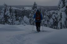 Aurora Borealis Snowshoeing Adventure by Night from Rovaniemi