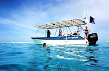 3h dolphin and snorkeling tour in a wild lagoon with Mobydick
