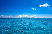 Boat tour + snorkeling in a preserved lagoon - Mobydick Tahiti