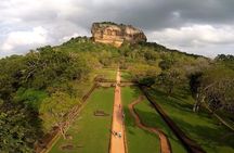 2 Days Private Tour of Sigiriya & Dambulla with Minneriya Safari - All Inclusive