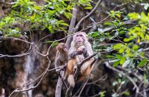 Da Nang Hoi An 5 days 4 nights Tour