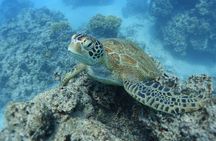 Sea Scooter Jet Snorkeling "Moorea Dream Adventure"