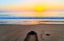 3-Days Private Tour in Oman with Pick Up