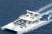 Full day- Saona Island tour From Punta cana all inclusive