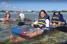  Clear Bottom Kayaks Mangrove and Iguana Tour
