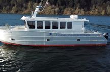 3.5 Hour Crowd-Skipping Whale Tour in Juneau Alaska