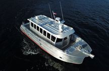 3.5 Hour Crowd-Skipping Whale Tour in Juneau Alaska