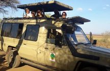 Private Multi day Safari tour in Tanzania