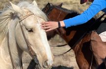 Horseback expedition to The Andes, 2 days. Sleep in the heart of the mountain. 