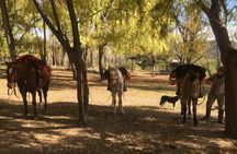 Horseback expedition to The Andes, 2 days. Sleep in the heart of the mountain. 