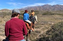 Horseback expedition to The Andes, 2 days. Sleep in the heart of the mountain. 