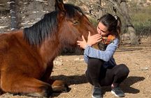 Horseback expedition to The Andes, 2 days. Sleep in the heart of the mountain. 