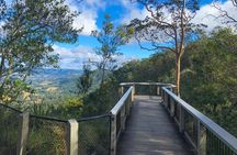 Montville, Maleny and Sunshine Coast Hinterland Tour with Lunch