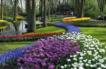 Keukenhof Gardens Tour with Windmill Cruise from Amsterdam