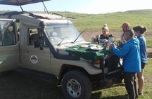Ngorongoro Crater Full Day Tour