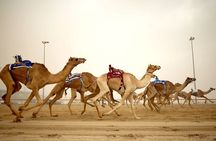 Qatar West Coast tour, Zekreet, Richard Serra Sculpture, Mushroom Rock Formation