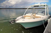 2-Hour Private Hilton Head Dolphin Watching Cruise
