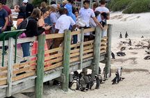 Cape Of Good Hope and Penguins viewing Private Tour