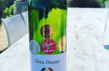 Cape Town Wine Tour & Tasting all inclusive
