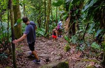Gros Piton Hike in St. Lucia (Private)