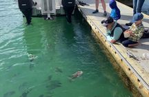 Hole in the Rock Cruise & Island Stopover (Half Day)