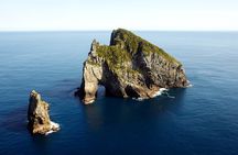 Hole in the Rock Cruise & Island Stopover (Half Day)