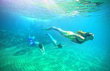 Mermaid Ocean Swimming Lesson in Maui 