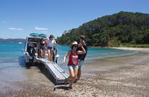 Hole in the Rock Cruise & Island Stopover (Half Day)